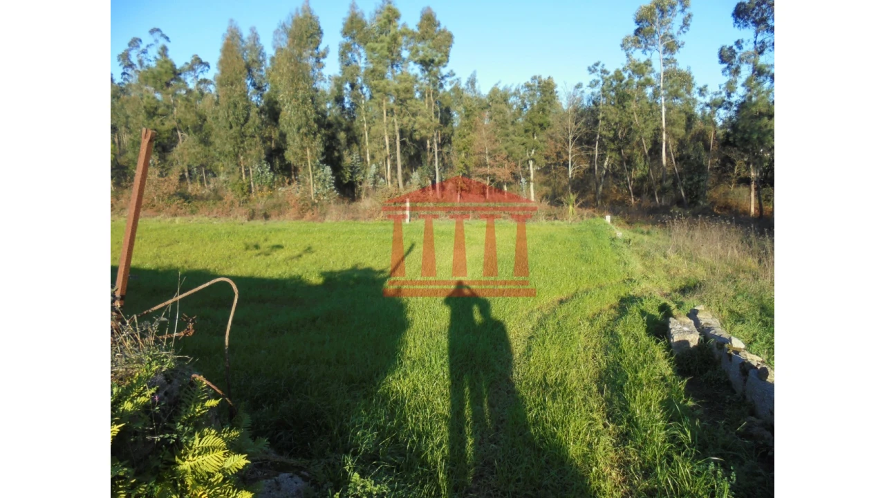 Terreno para Venda em Chorente, Góios, Courel, Pedra Furada e Gueral Foto 6