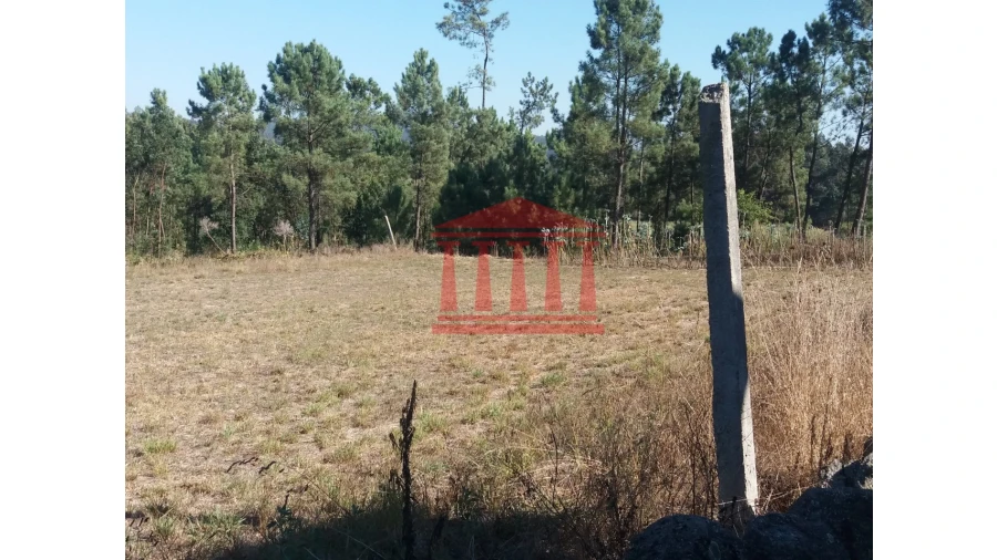 Terreno para Venda em Chorente, Góios, Courel, Pedra Furada e Gueral Foto 10