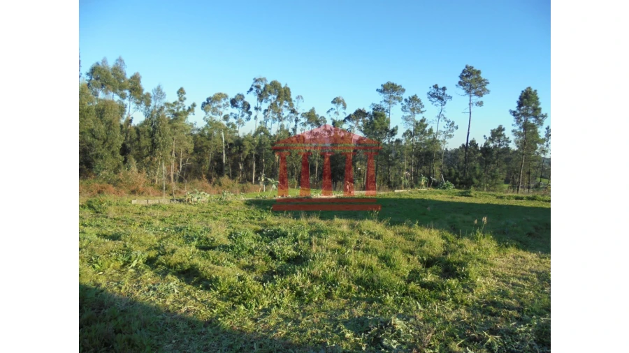 Terreno para Venda em Chorente, Góios, Courel, Pedra Furada e Gueral Foto 4
