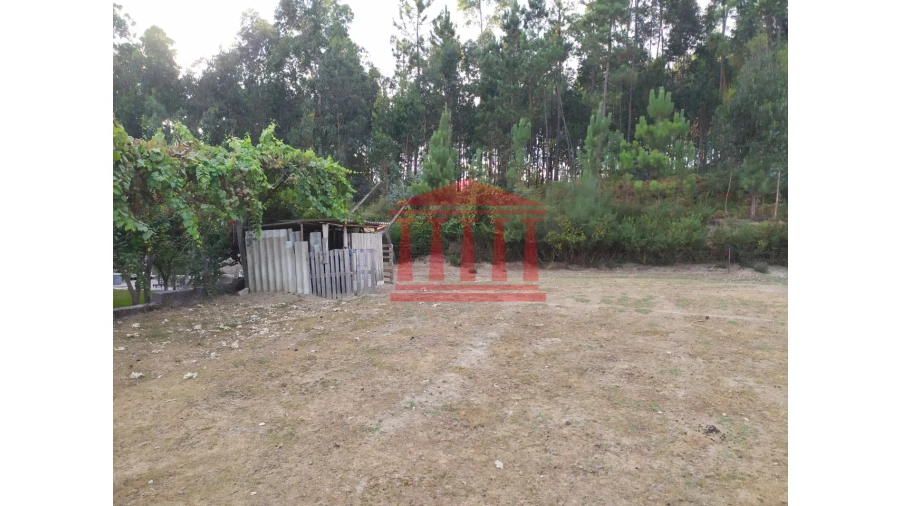 Terreno para Venda em Carreira e Fonte Coberta Foto 14