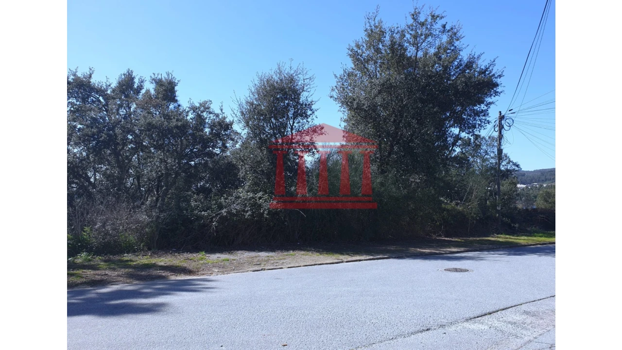 Terreno para Venda em Abade de Neiva Foto 5