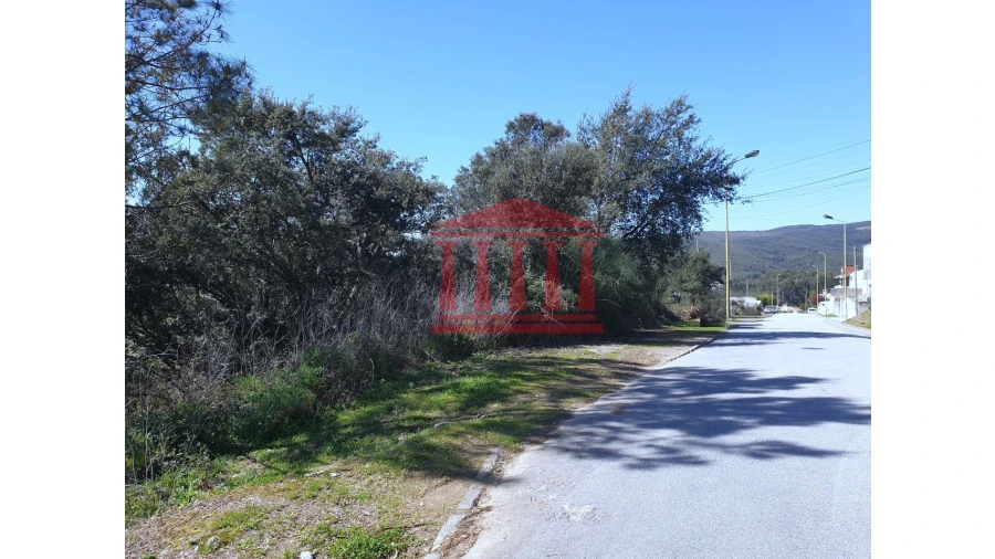 Terreno para Venda em Abade de Neiva Foto 1