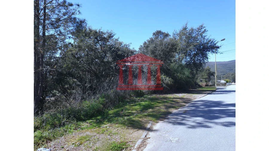 Terreno para Venda em Abade de Neiva Foto 2