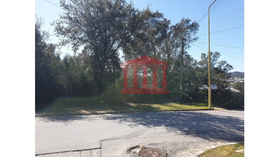 Terreno para Venda em Abade de Neiva Foto 4