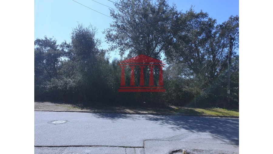 Terreno para Venda em Abade de Neiva Foto 7