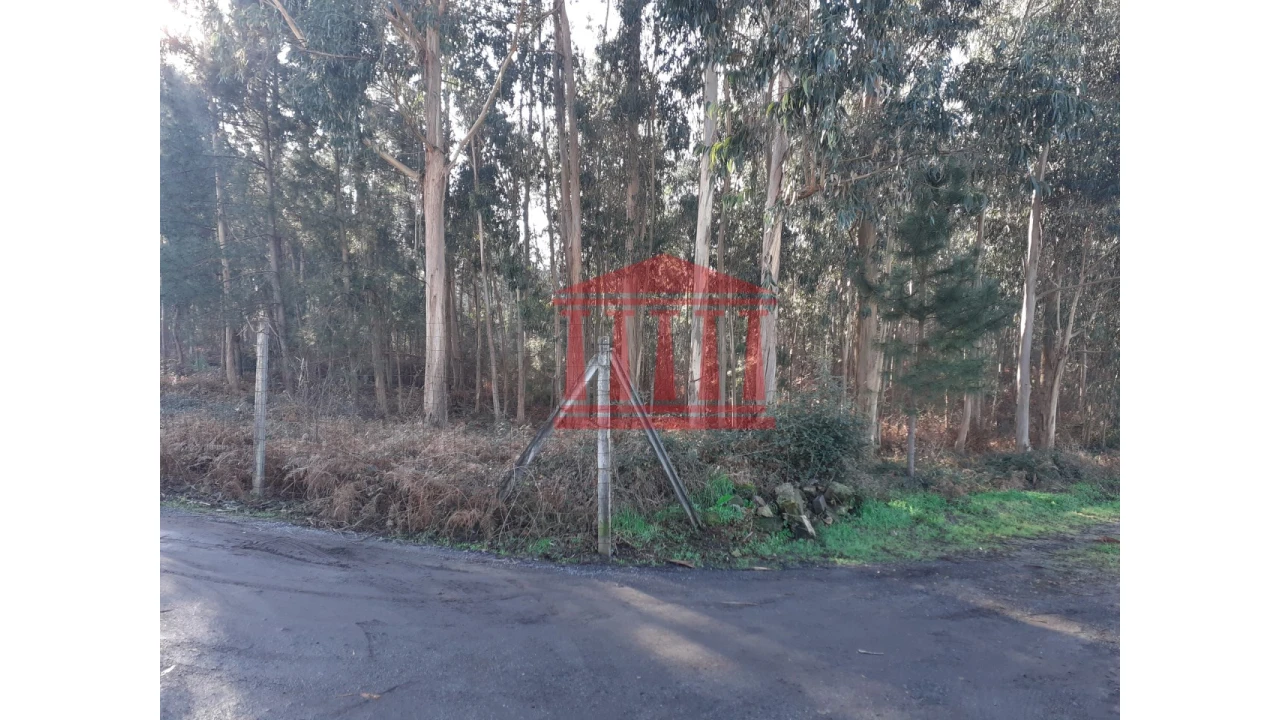 Terreno para Venda em Remelhe Foto 3