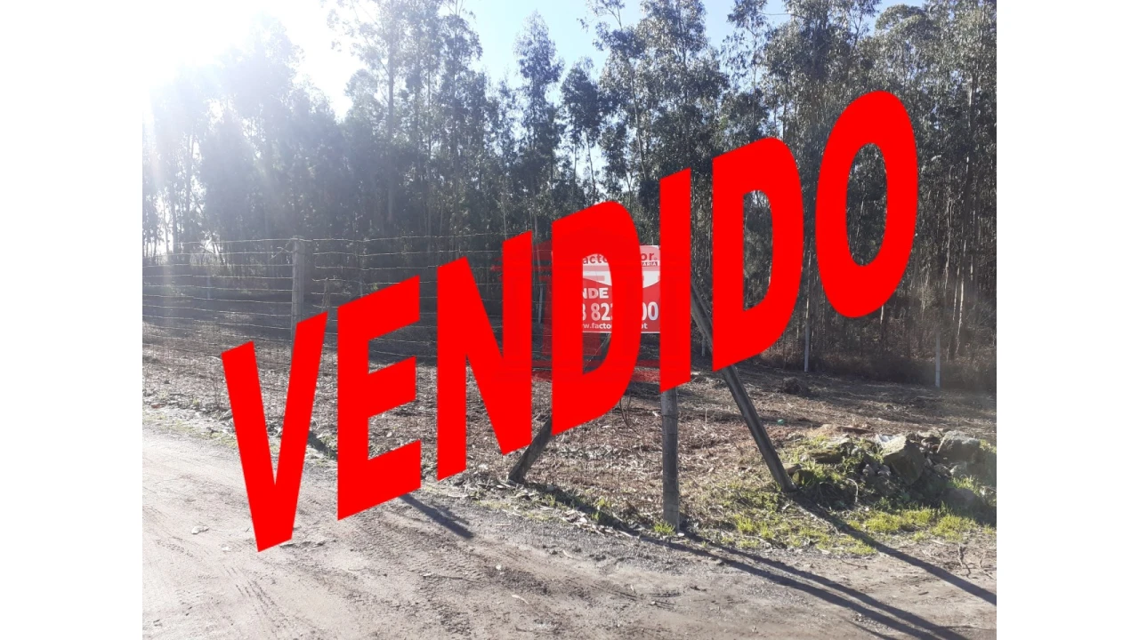 Terreno para Venda em Remelhe Foto 1