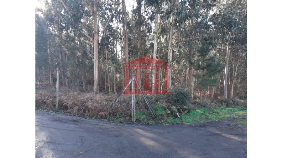 Terreno para Venda em Remelhe Foto 3