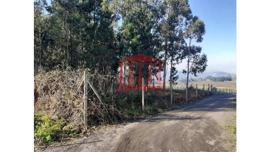 Terreno para Venda em Remelhe Foto 4