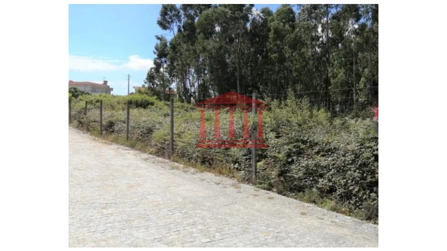 Terreno para Venda em Remelhe Foto 6