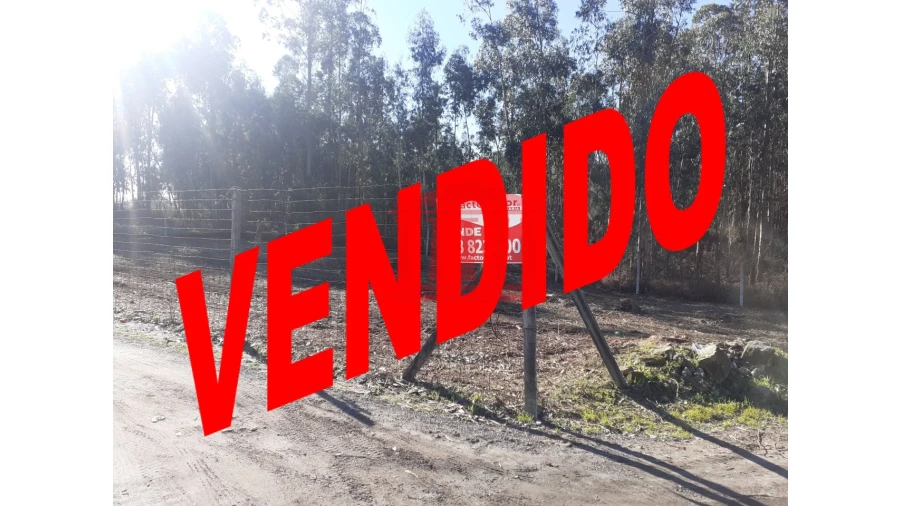 Terreno para Venda em Remelhe Foto 1
