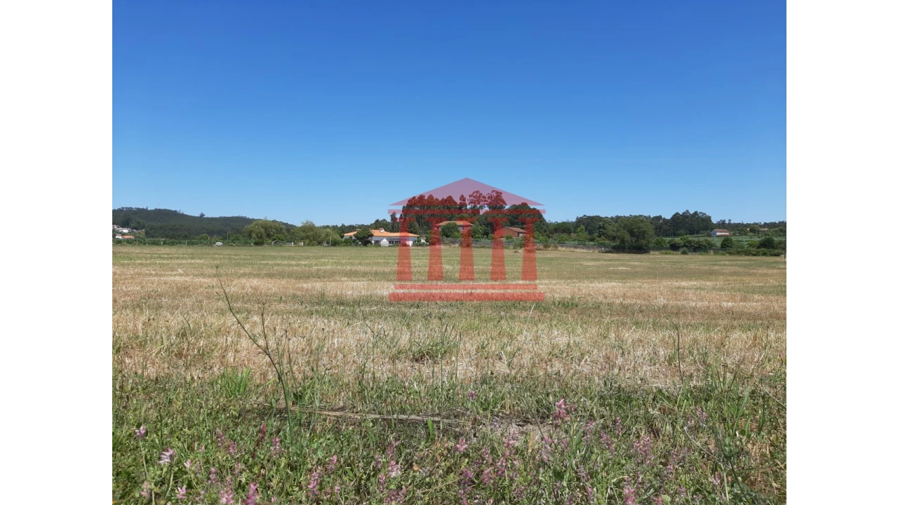 Terreno para Venda em Barcelos, V.Boa, V.Frescainha Foto 4