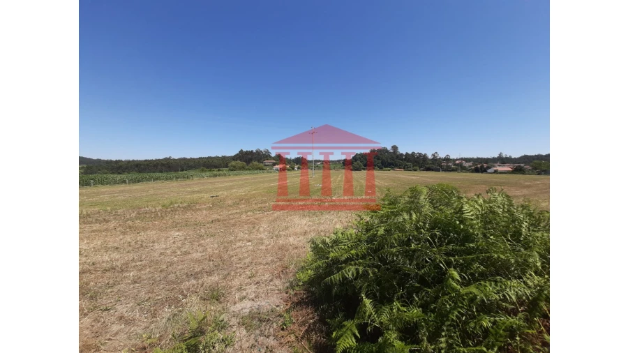 Terreno para Venda em Barcelos, V.Boa, V.Frescainha Foto 7