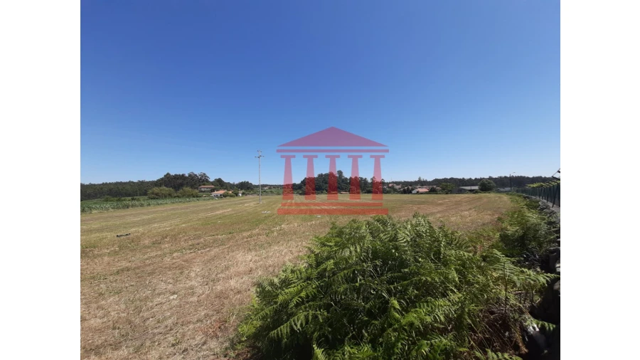 Terreno para Venda em Barcelos, V.Boa, V.Frescainha Foto 8