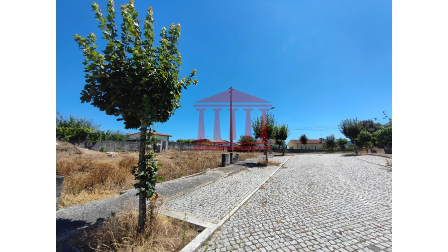 Terreno para Venda em Varzea Foto 5