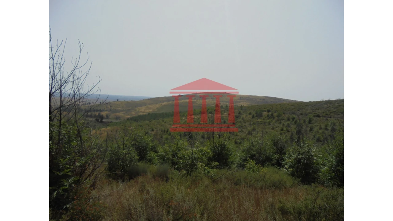 Terreno para Venda em Freixo de Espada a Cinta e Mazouco Foto 2