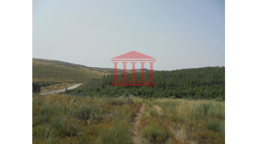 Terreno para Venda em Freixo de Espada a Cinta e Mazouco