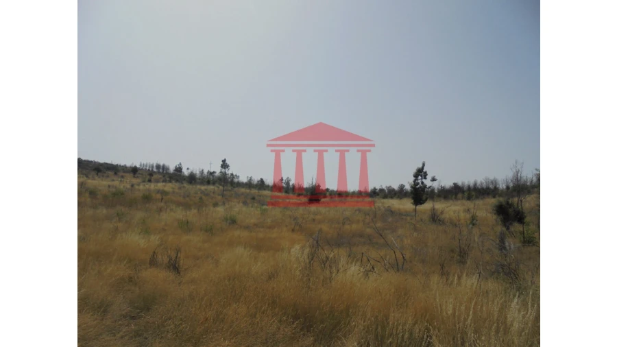 Terreno para Venda em Freixo de Espada a Cinta e Mazouco Foto 3