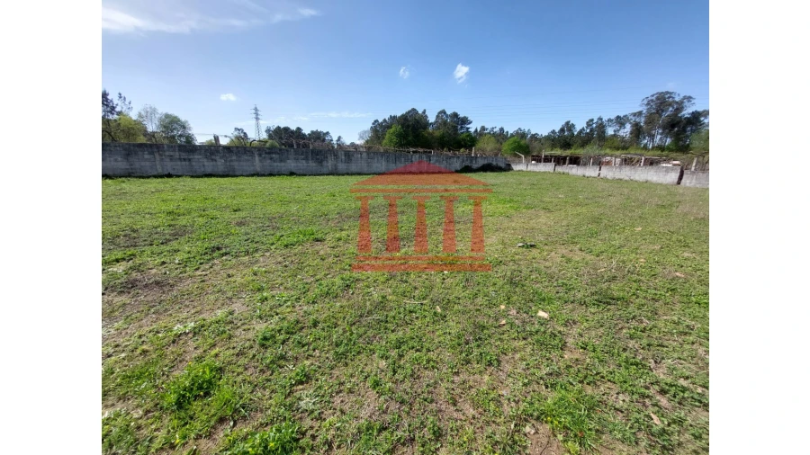 Terreno para Venda em Ucha Foto 3