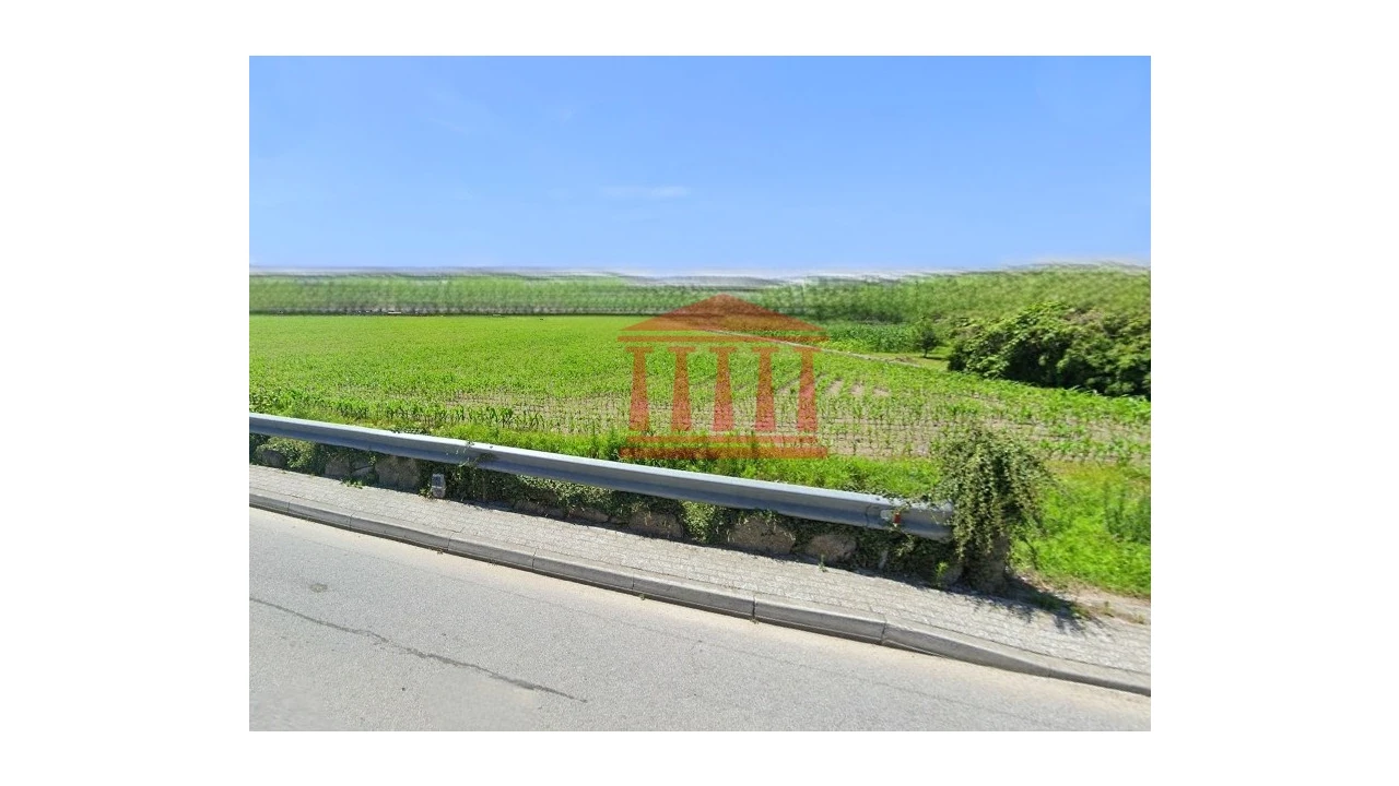 Terreno para Venda em Alvelos Foto 3