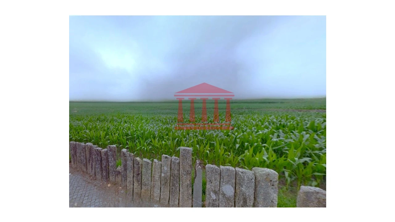 Terreno para Venda em Alvelos Foto 6