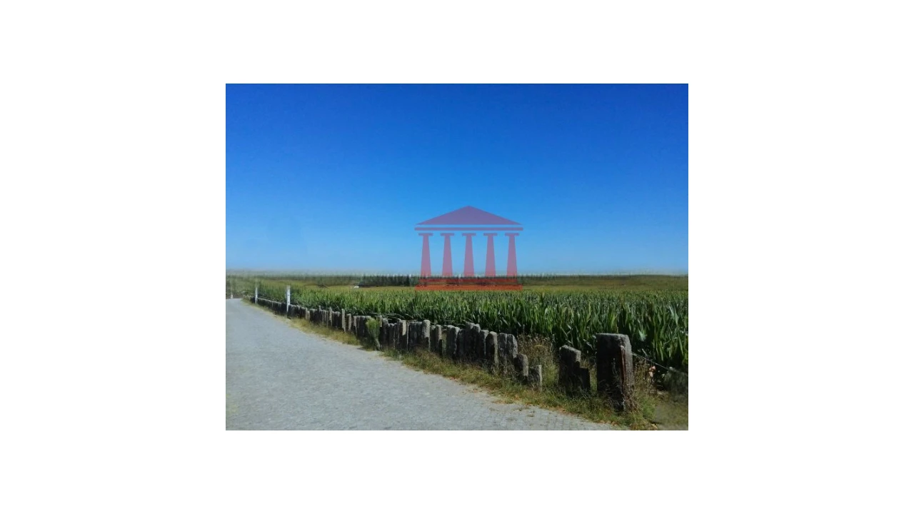 Terreno para Venda em Alvelos Foto 7