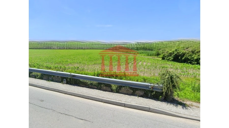 Terreno para Venda em Alvelos Foto 3