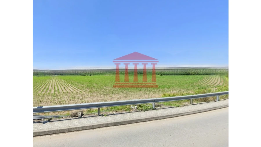 Terreno para Venda em Alvelos Foto 1