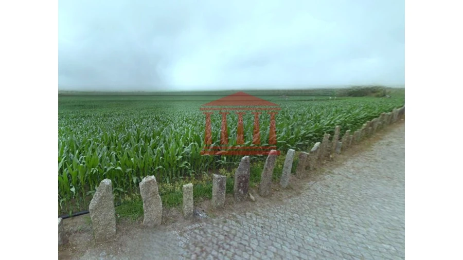 Terreno para Venda em Alvelos Foto 4