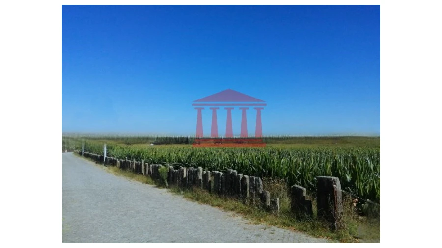 Terreno para Venda em Alvelos Foto 7