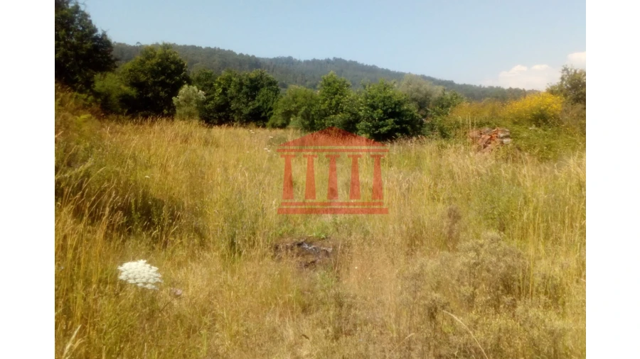 Terreno para Venda em Panque Foto 7