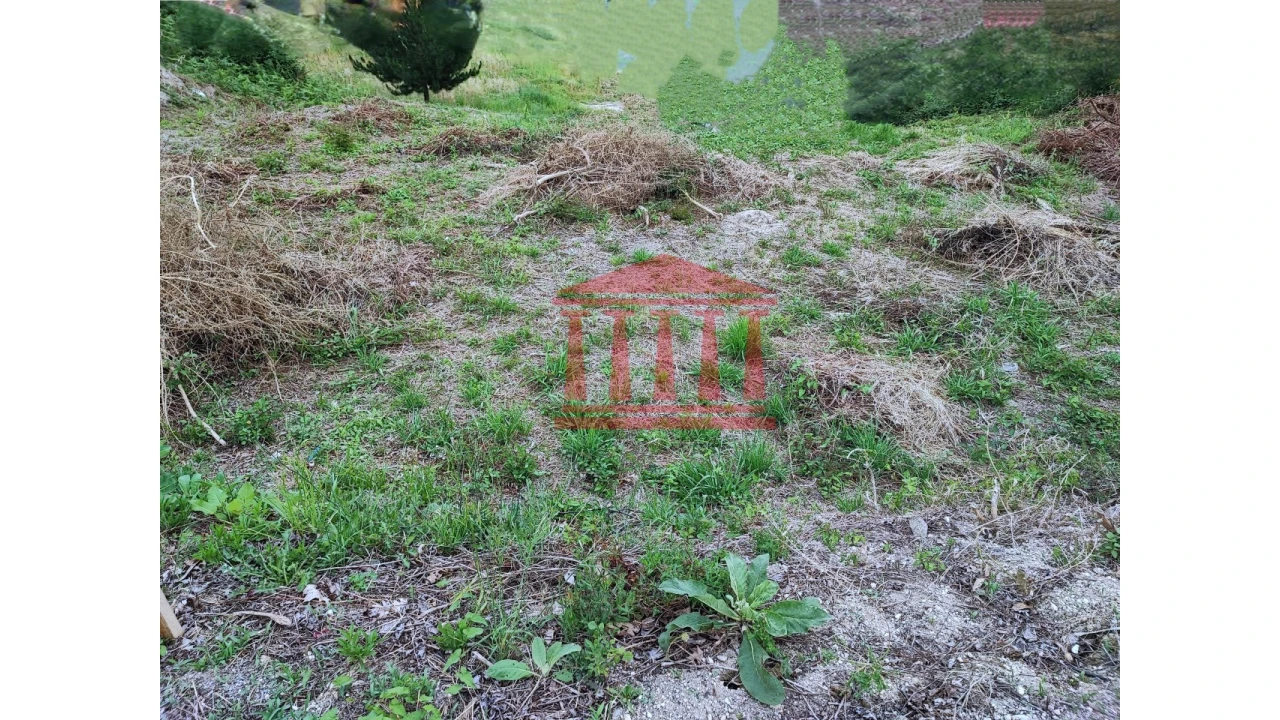 Terreno para Venda em Silveiros e Rio Covo (Santa Eulália) Foto 3