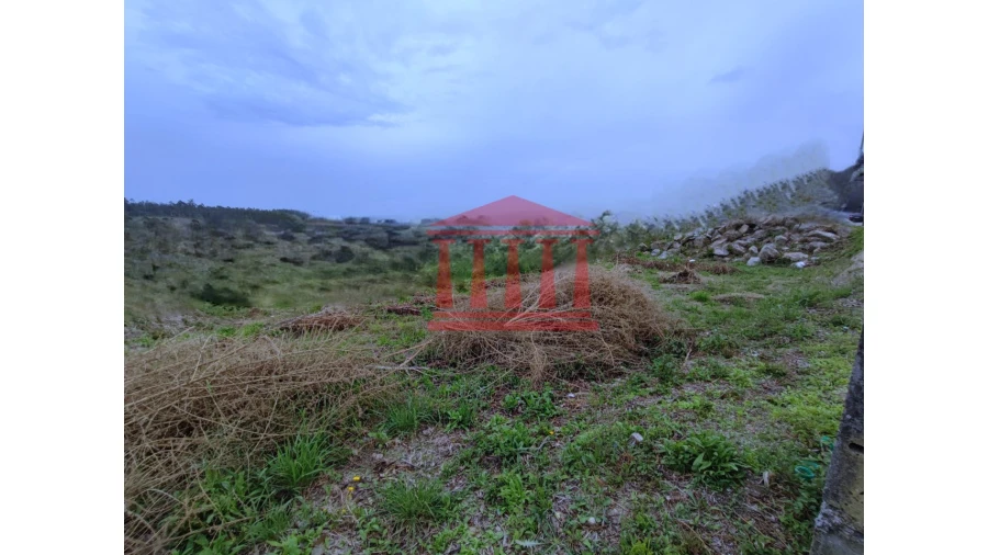 Terreno para Venda em Silveiros e Rio Covo (Santa Eulália) Foto 6