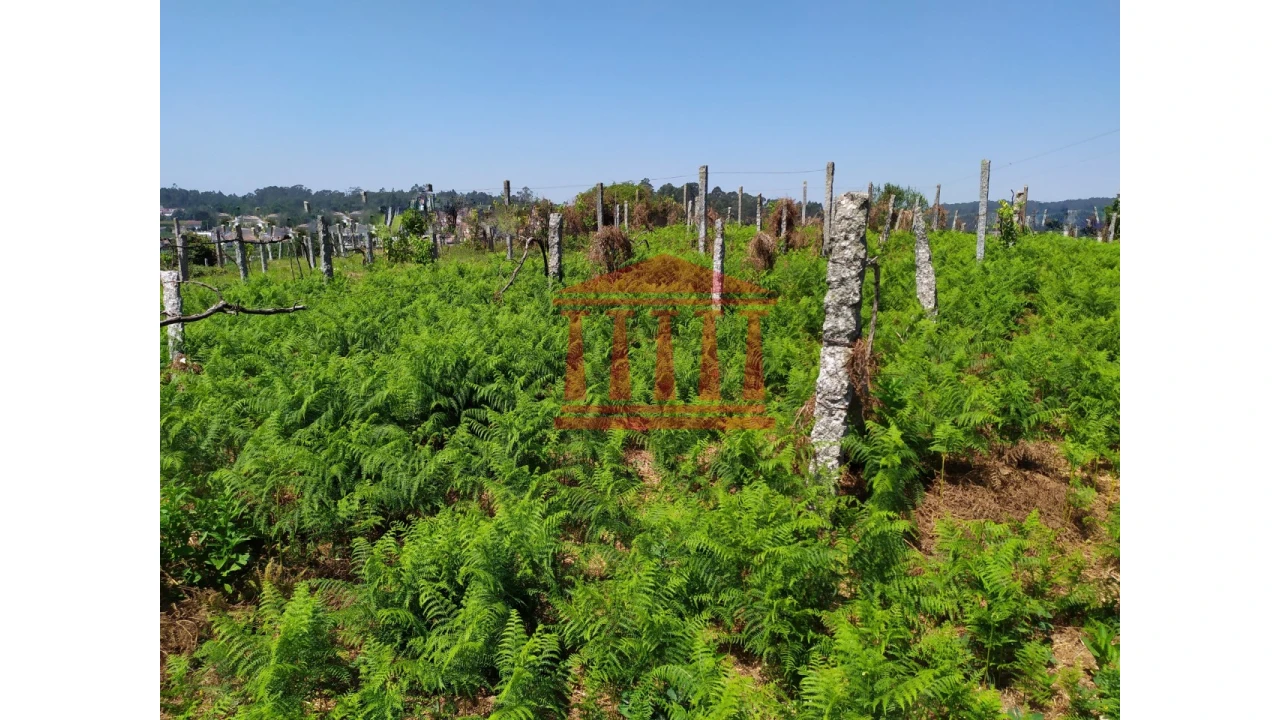 Terreno para Venda em Silveiros e Rio Covo (Santa Eulália) Foto 7