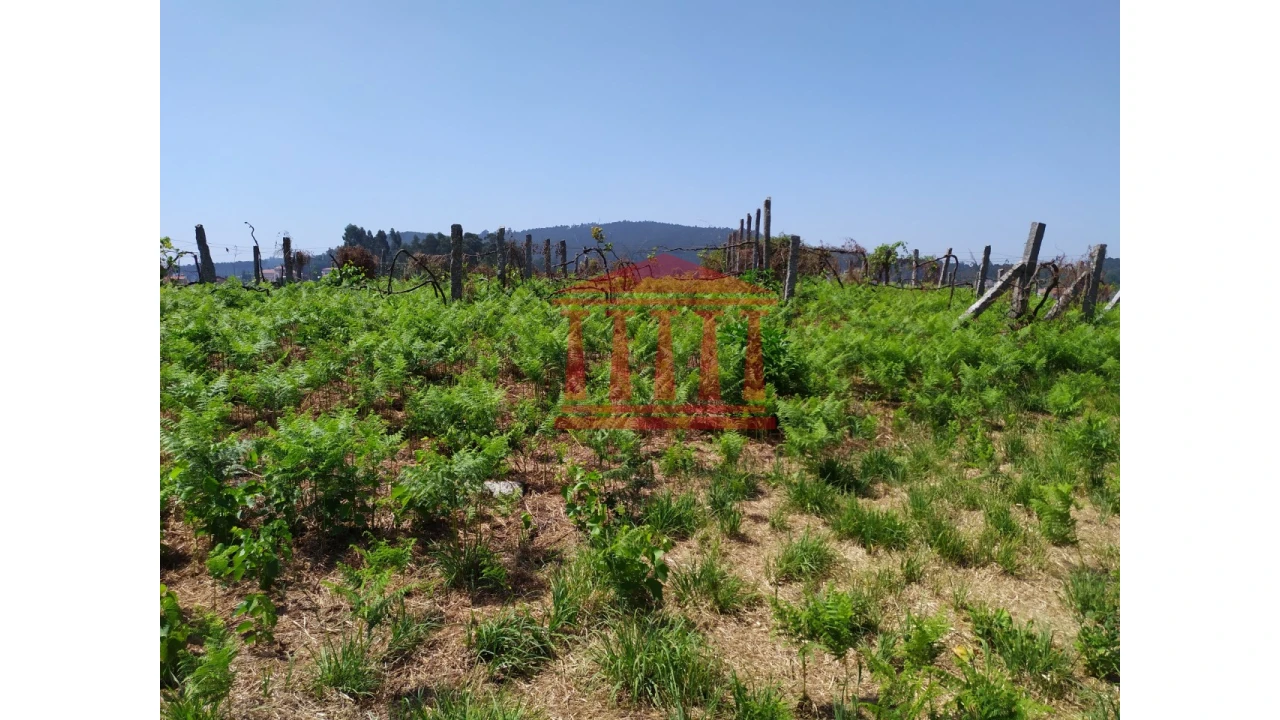 Terreno para Venda em Silveiros e Rio Covo (Santa Eulália) Foto 8