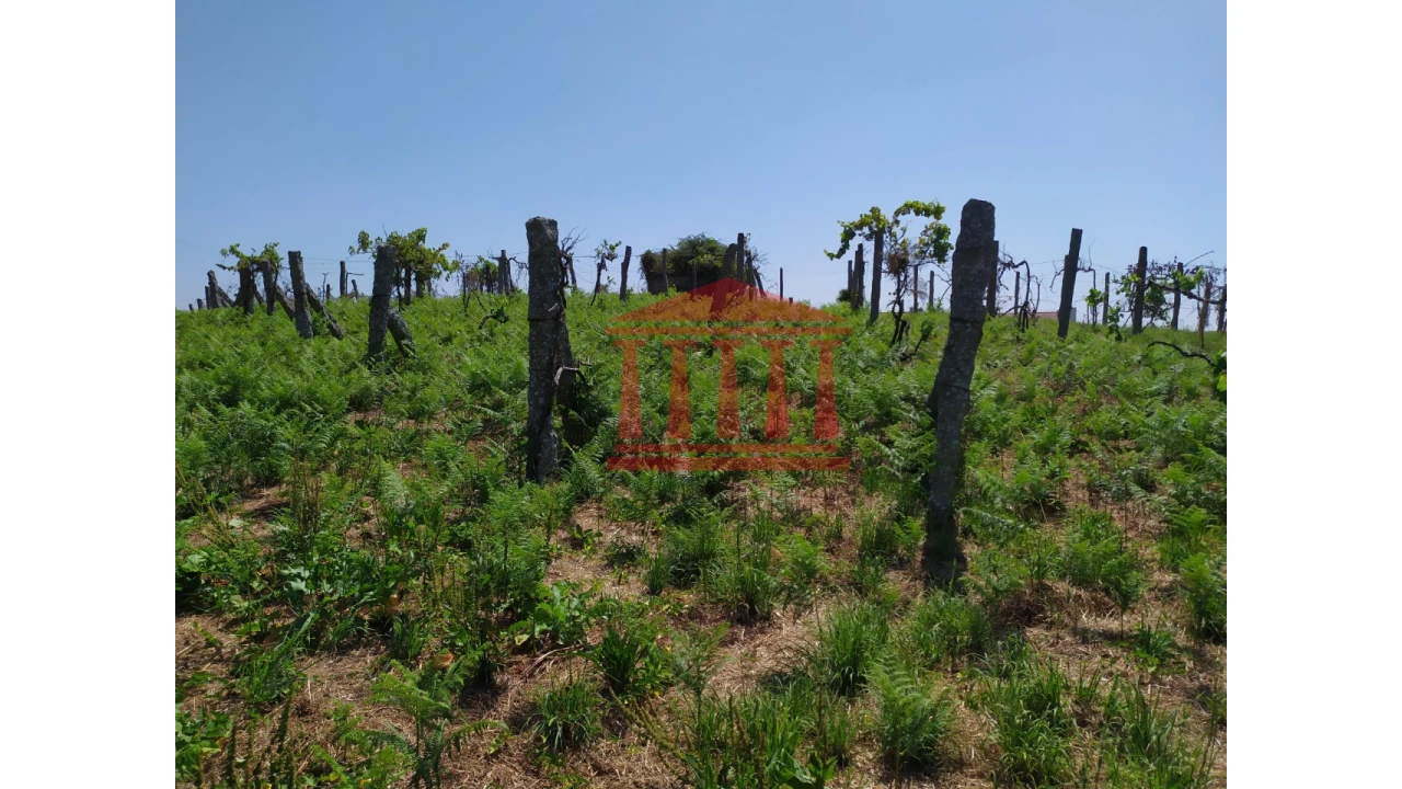 Terreno para Venda em Silveiros e Rio Covo (Santa Eulália) Foto 11