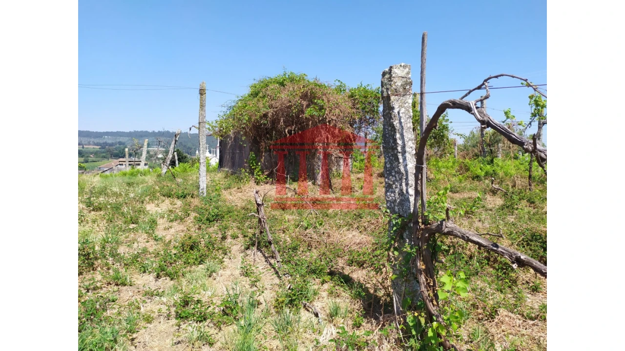 Terreno para Venda em Silveiros e Rio Covo (Santa Eulália) Foto 13