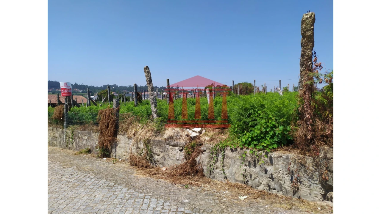 Terreno para Venda em Silveiros e Rio Covo (Santa Eulália) Foto 2