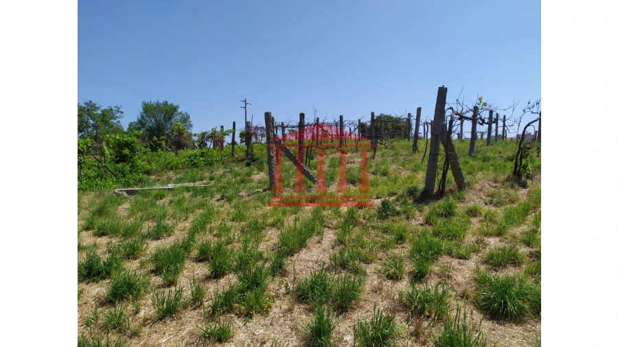 Terreno para Venda em Silveiros e Rio Covo (Santa Eulália) Foto 4