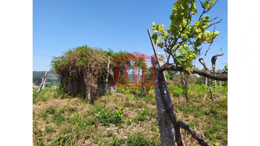 Terreno para Venda em Silveiros e Rio Covo (Santa Eulália) Foto 14