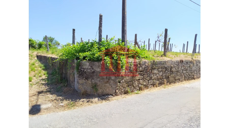 Terreno para Venda em Silveiros e Rio Covo (Santa Eulália) Foto 18