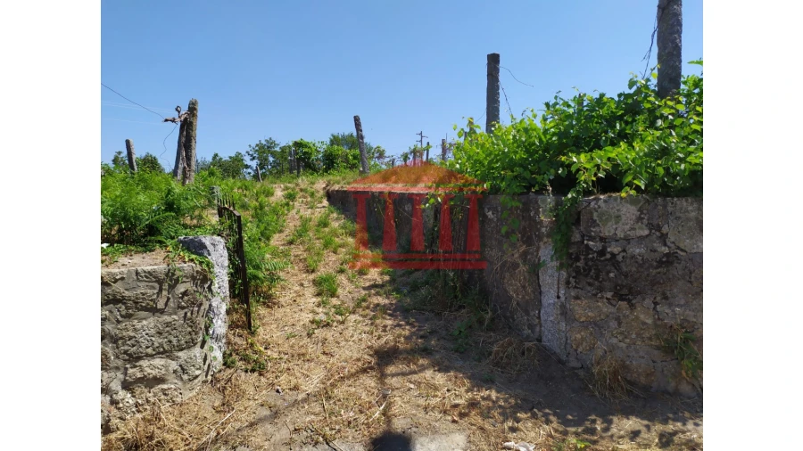 Terreno para Venda em Silveiros e Rio Covo (Santa Eulália) Foto 19