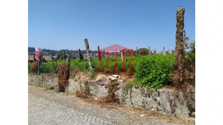 Terreno para Venda em Silveiros e Rio Covo (Santa Eulália) Foto 2