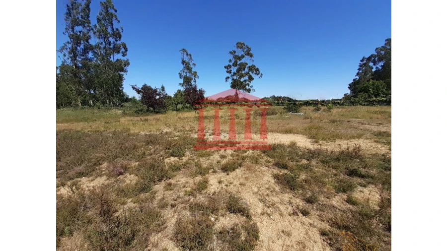 Terreno para Venda em Barqueiros Foto 2