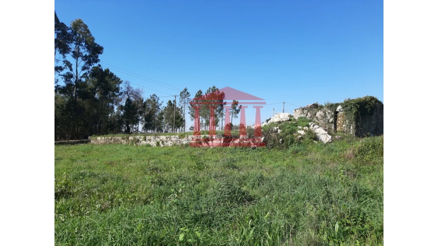 Terreno para Venda em Vila Cova e Feitos Foto 4