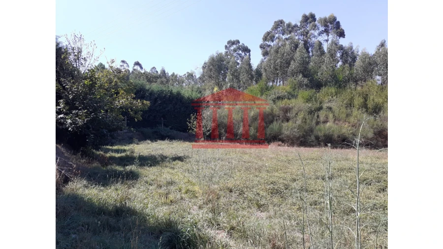 Terreno para Venda em Barcelinhos Foto 3