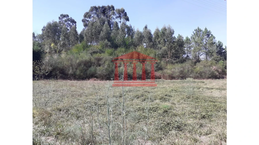 Terreno para Venda em Barcelinhos Foto 4