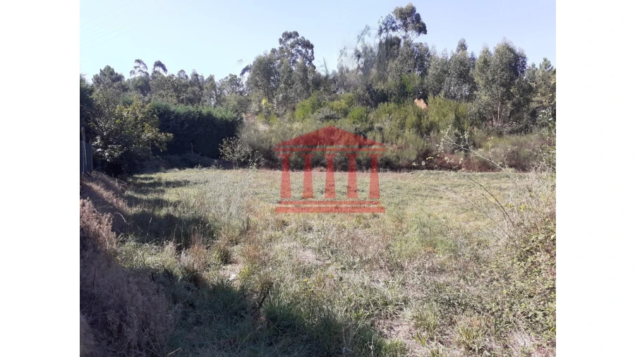 Terreno para Venda em Barcelinhos Foto 6