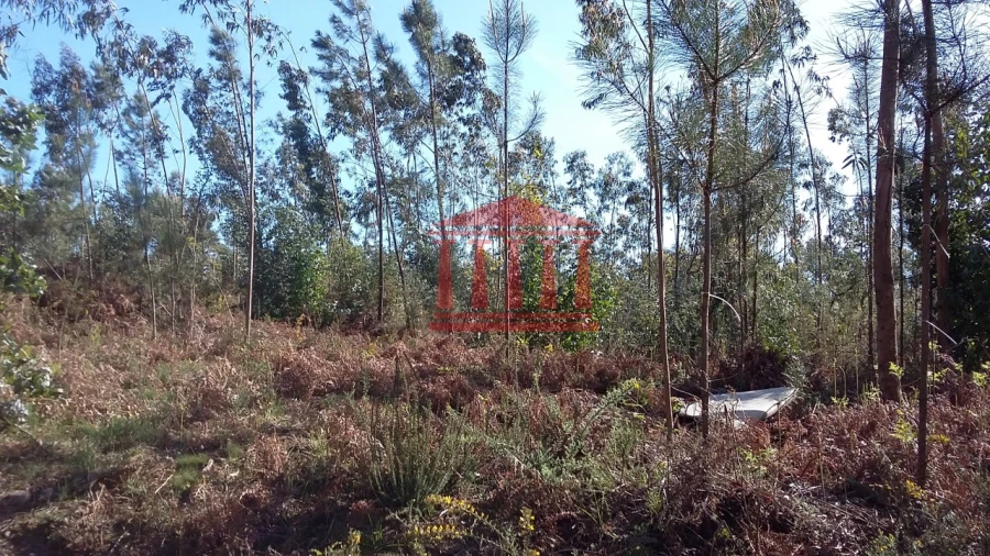 Terreno para Venda em Remelhe Foto 2