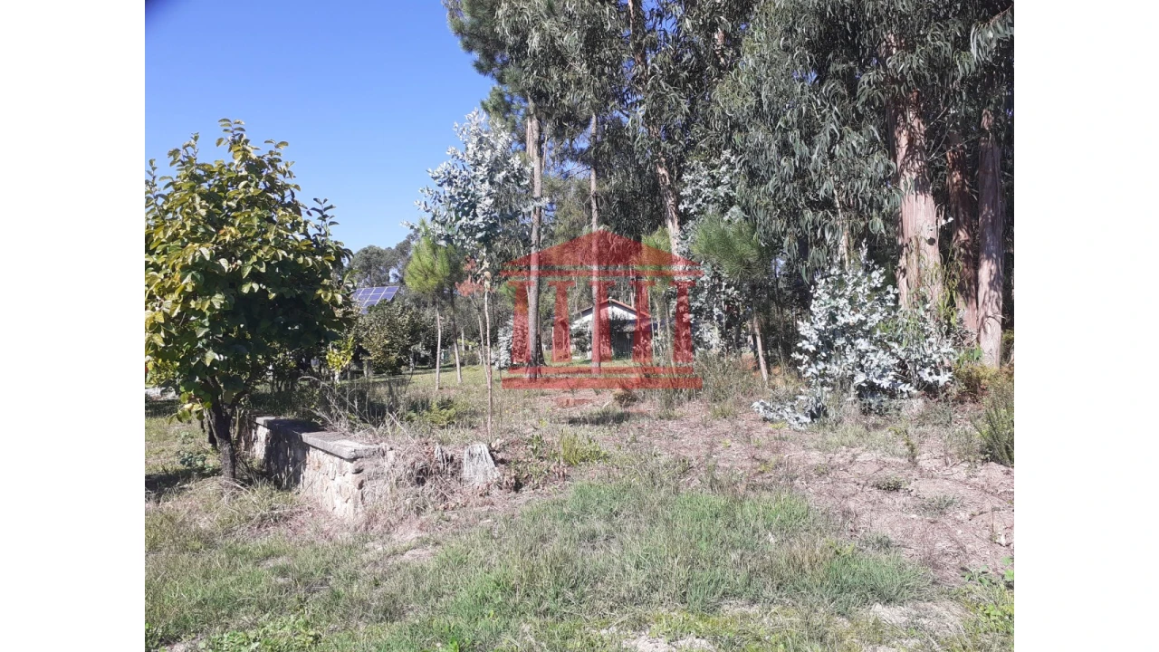 Terreno para Venda em Varzea Foto 3